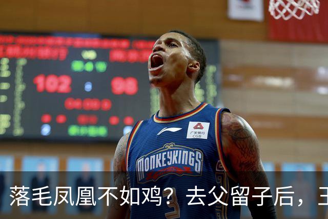 落毛凤凰不如鸡？去父留子后，王鸥回应无戏可拍，坦言走上另一条路